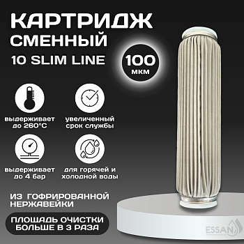 Картридж сменный многоразовый ESSAN EXTREME, 100 мкм, для корпуса 10SL, нержавеющая сетка