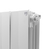 Радиатор биметаллический ROYAL THERMO PIANOFORTE BIANCO TRAFFICO 300x10 секций
